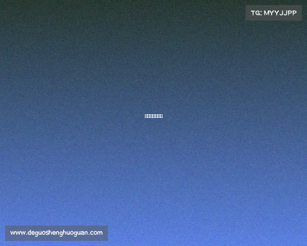 赛事保障有哪些